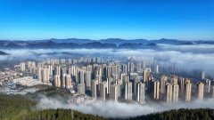 完成规模以上工业总产值984.28亿元；27个重大项目