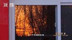 最高人民法院民事审判第一庭副庭长 蔡金芳：我